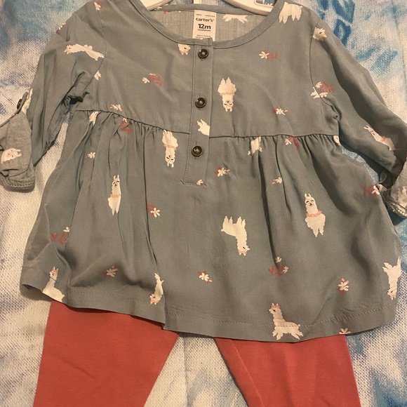 Fuchsia and Grayish Lama 2-piece Set - Picture 1 of 1